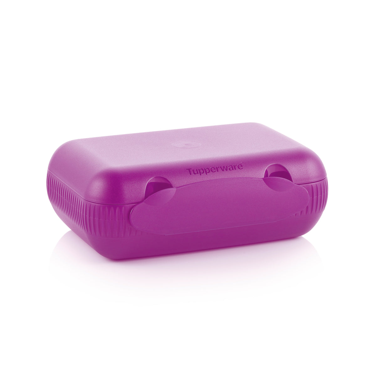 צהריים בקופסה אקו+