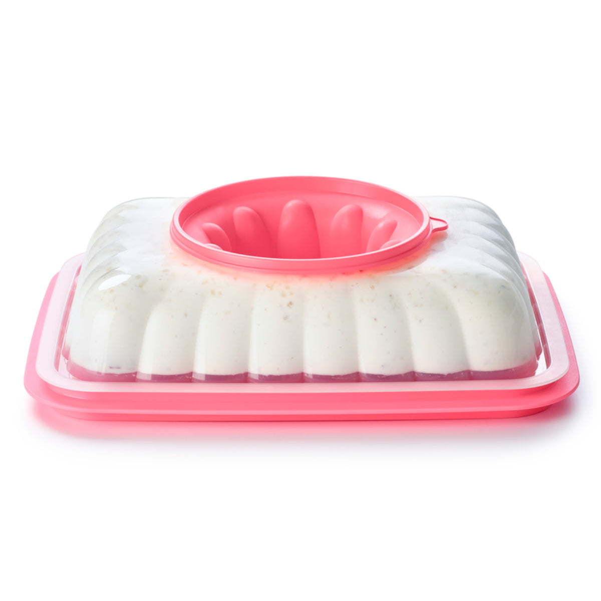 תבנית ג׳לי מלבנית