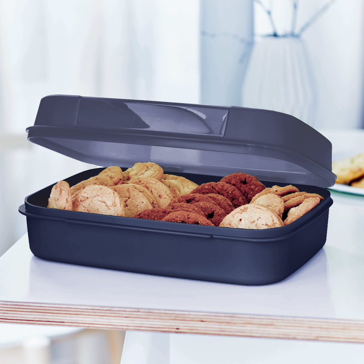 שומר חטיפים 2 ליטר