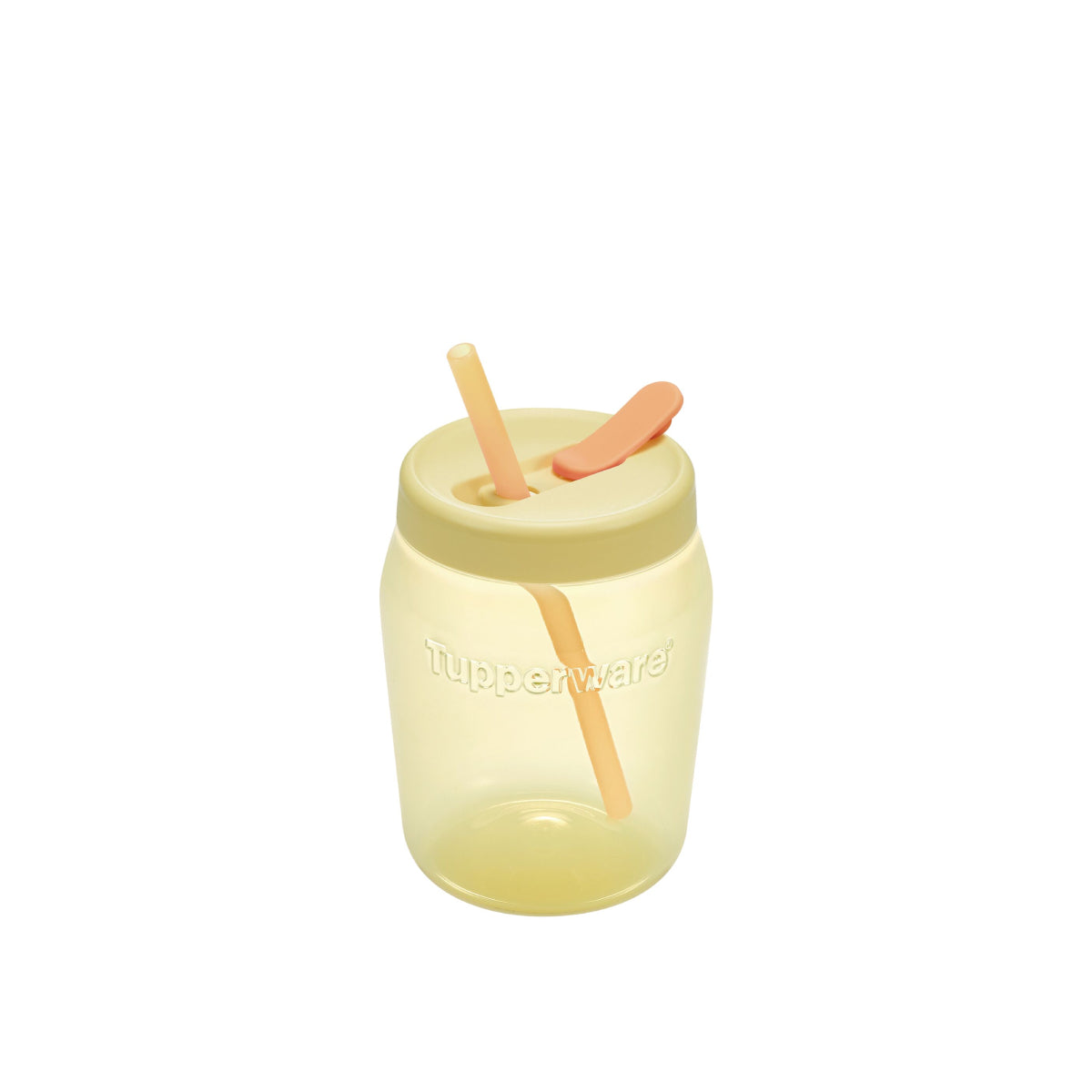 צנצנת אוניברסלית 550 מ״ל