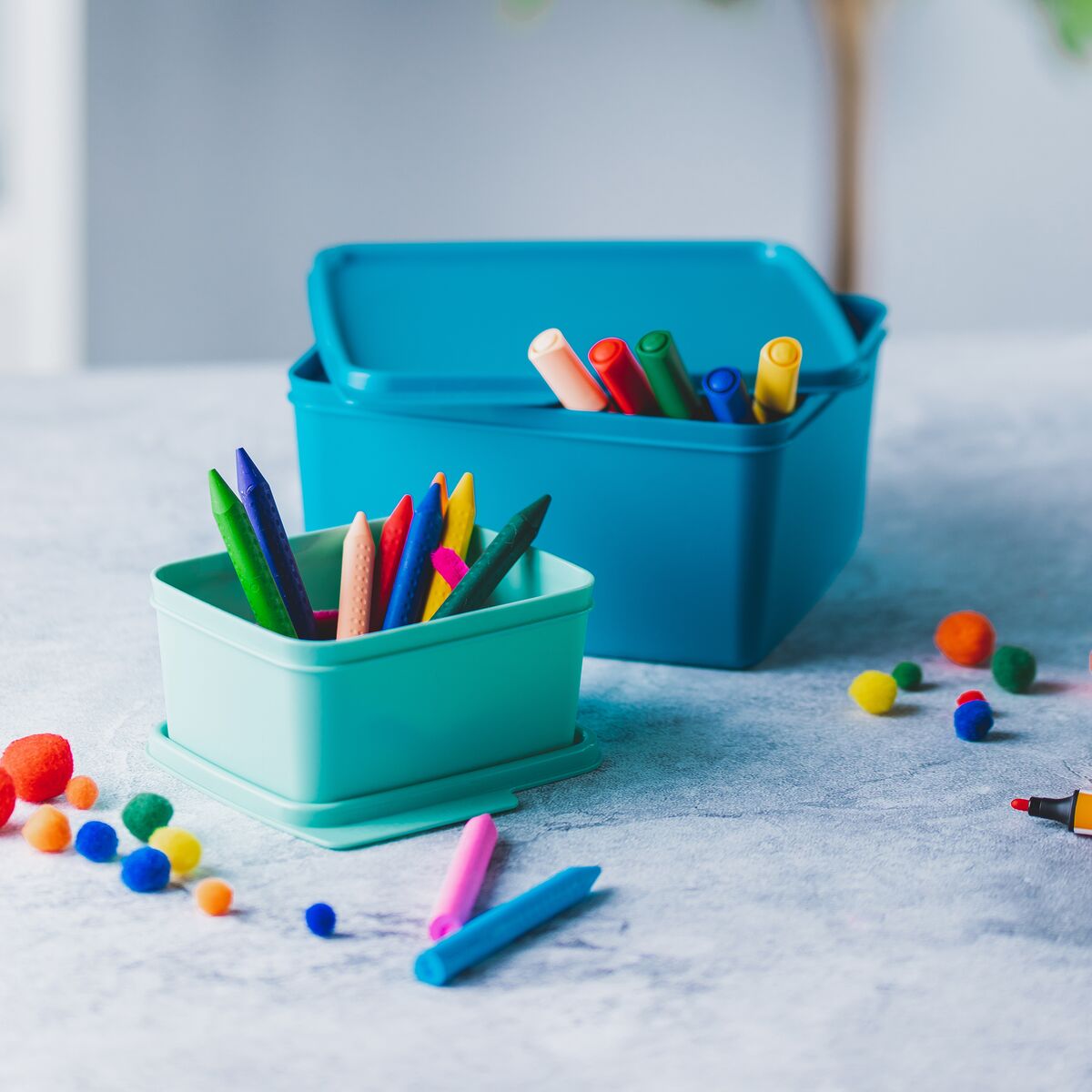 בייסיק ליין לאחסון כללי 500 מ״ל