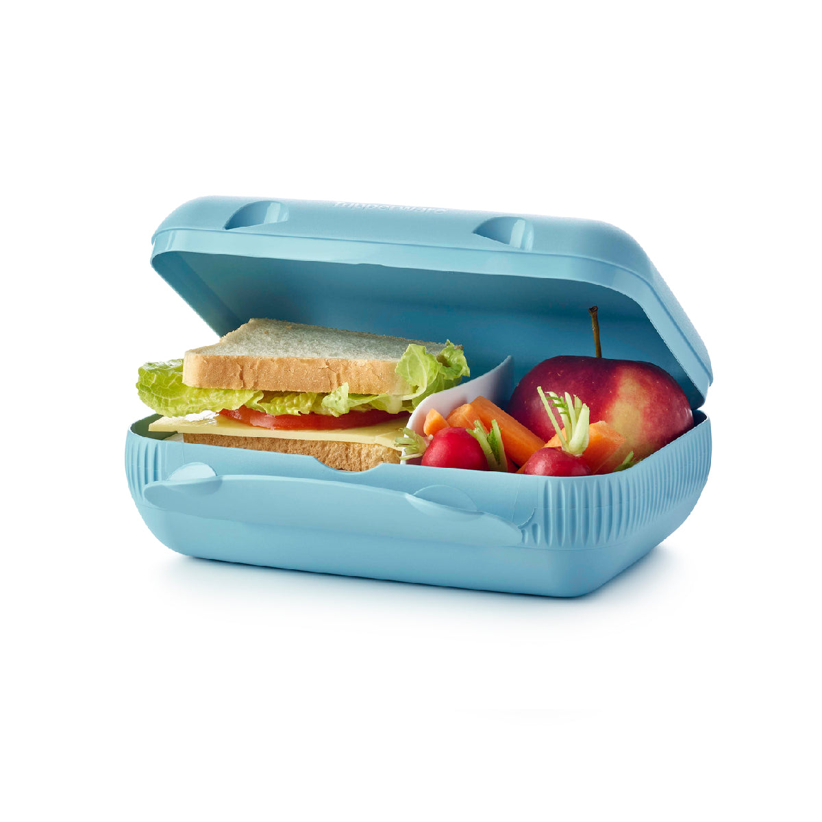 צהריים בקופסה אקו+