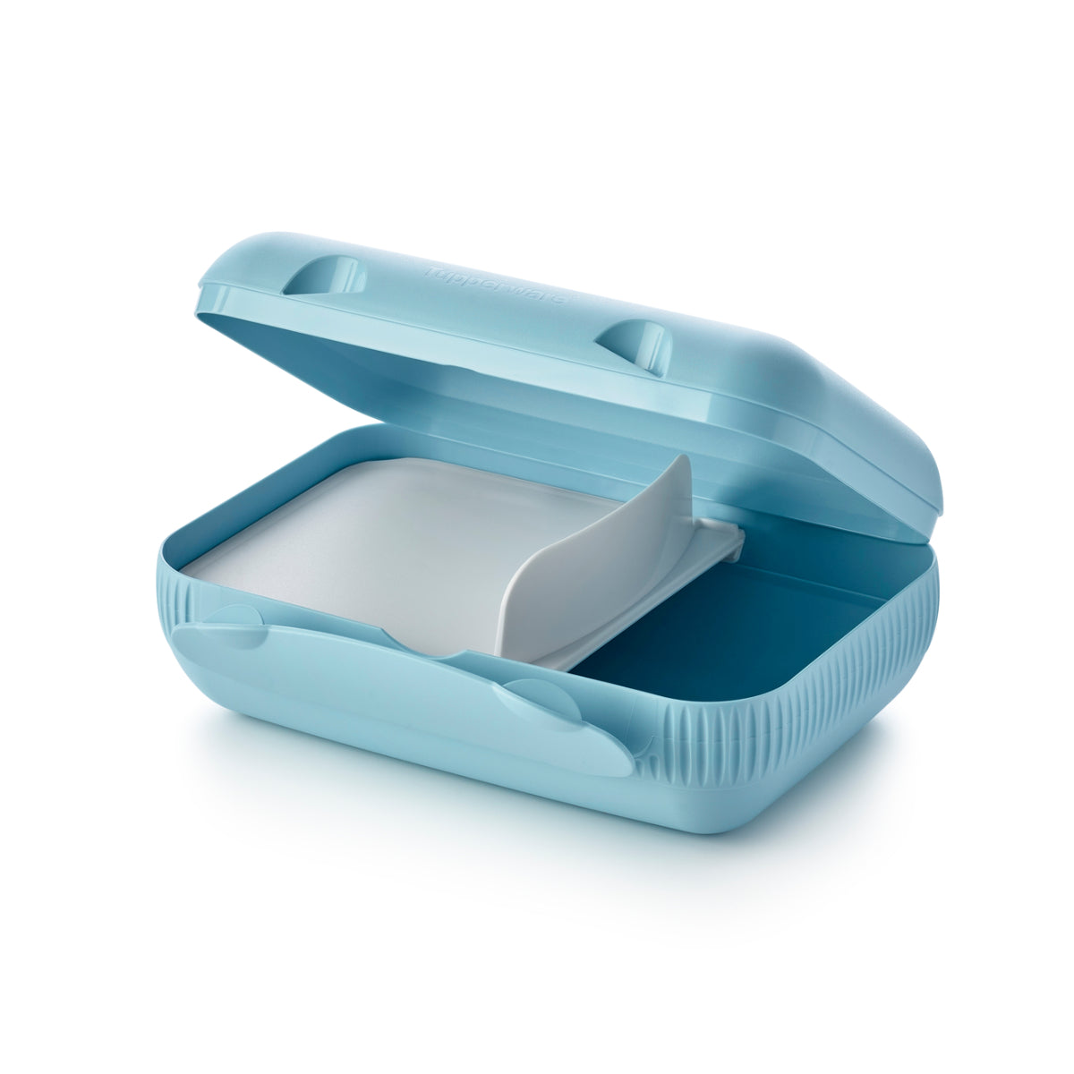 צהריים בקופסה אקו+