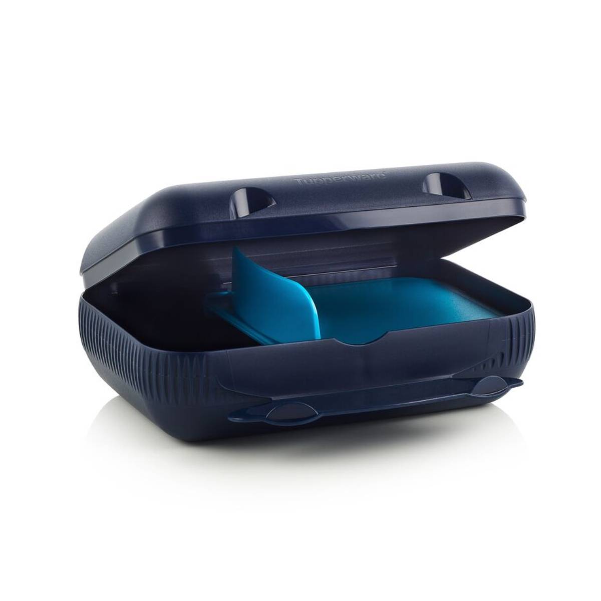 צהריים בקופסה אקו+