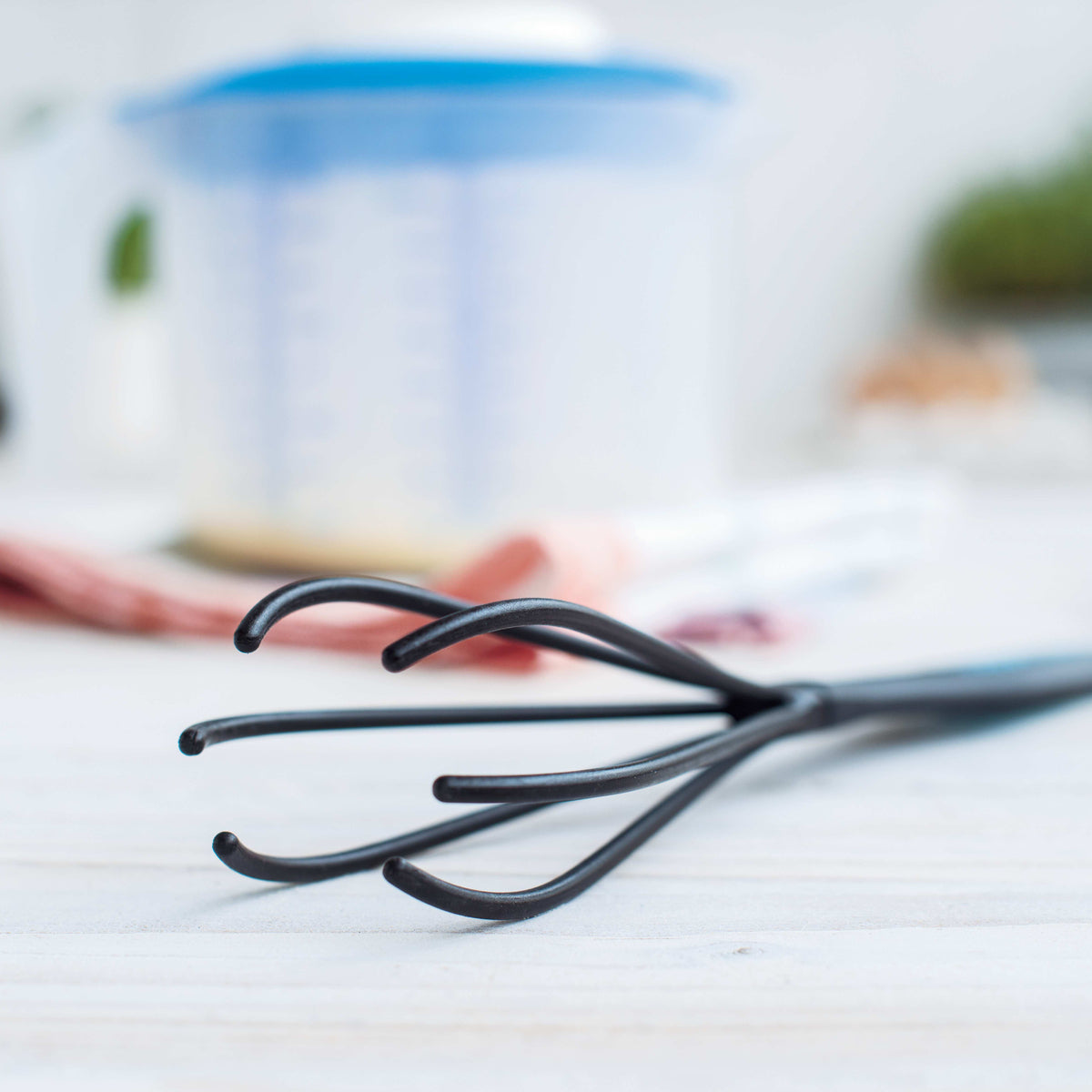 מטרפה פתוחה