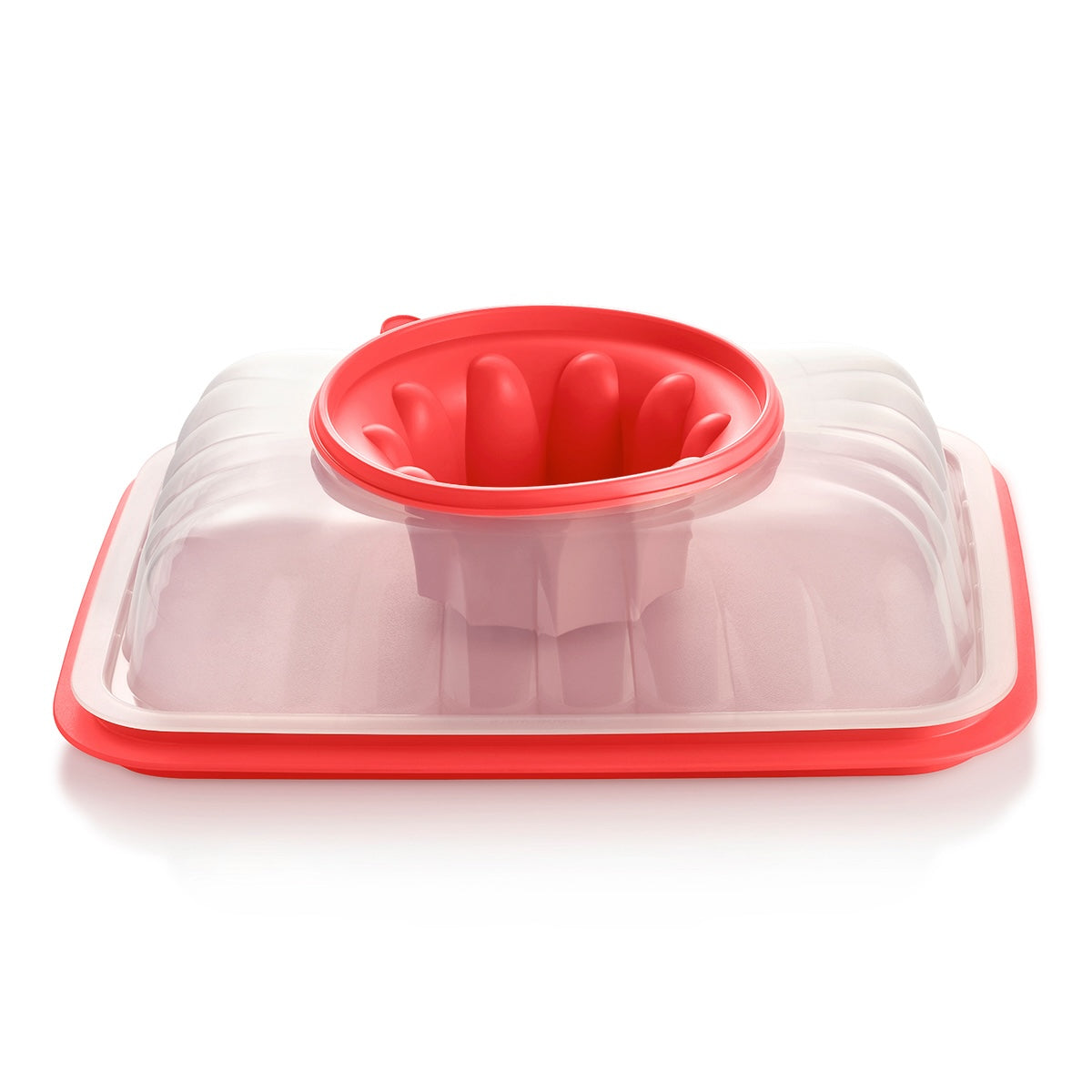 תבנית ג׳לי מלבנית