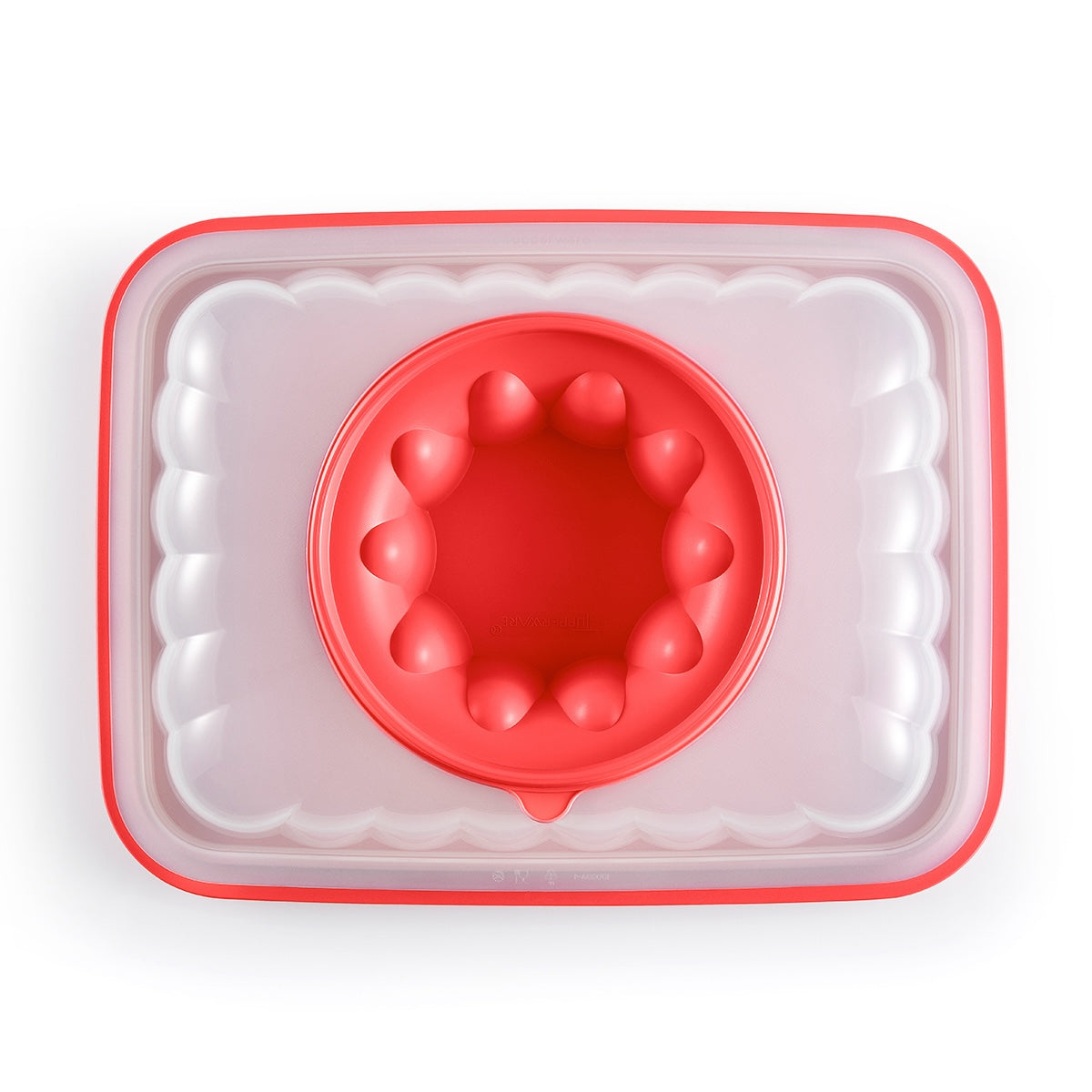 תבנית ג׳לי מלבנית