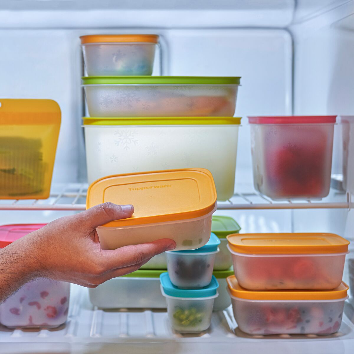 ערכת ידידותי למקפיא פלוס סט (5)