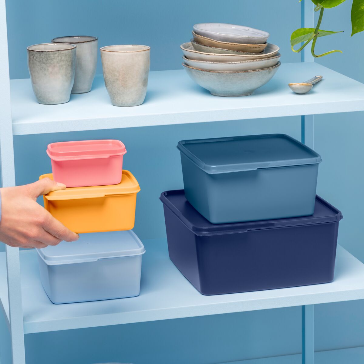 בייסיק ליין סט (5)