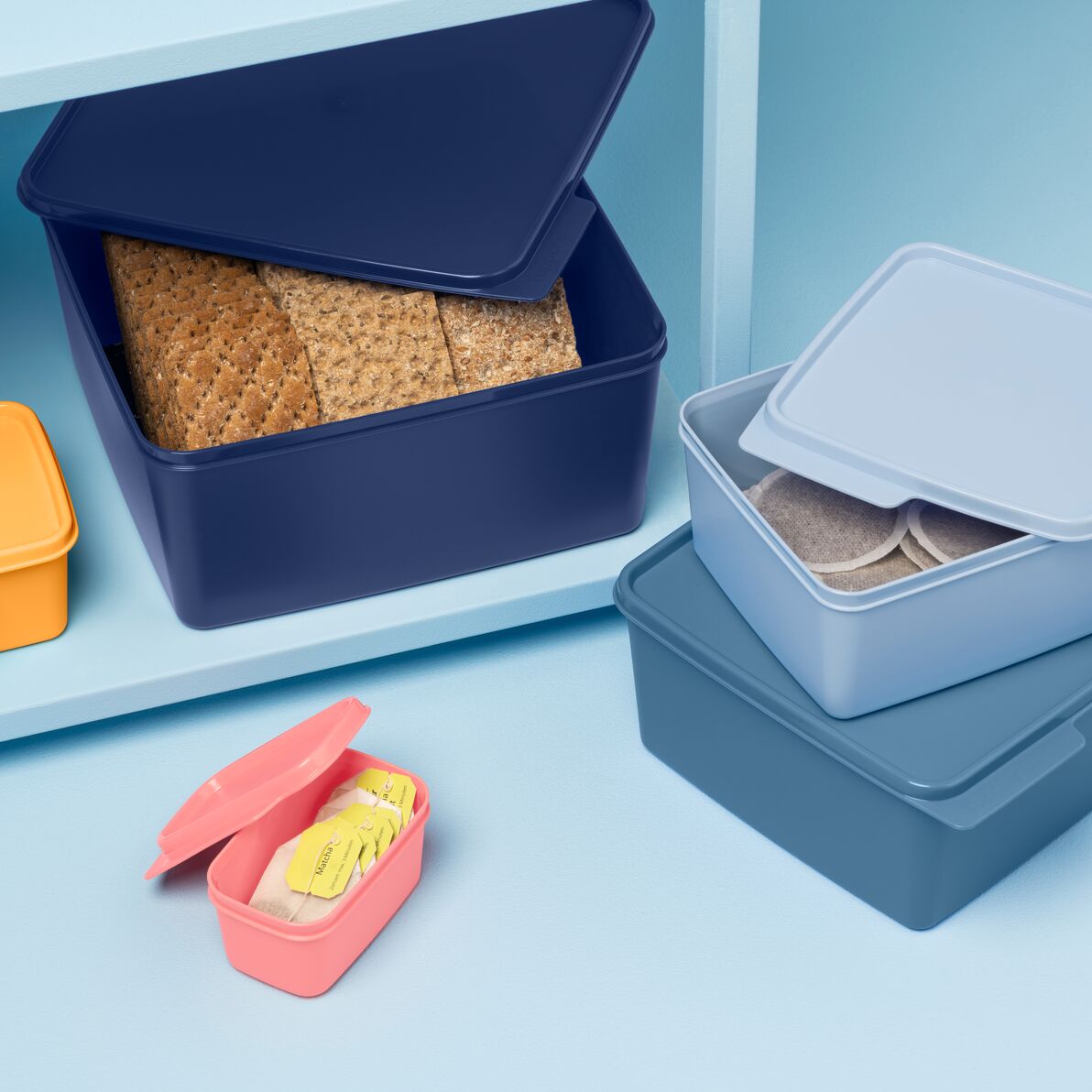 בייסיק ליין לאחסון כללי 5 ליטר