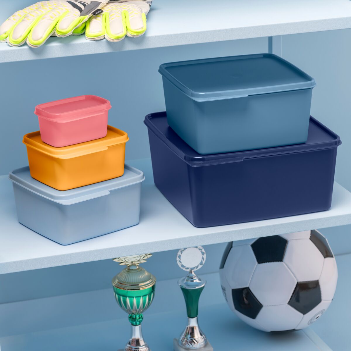 בייסיק ליין סט (5)