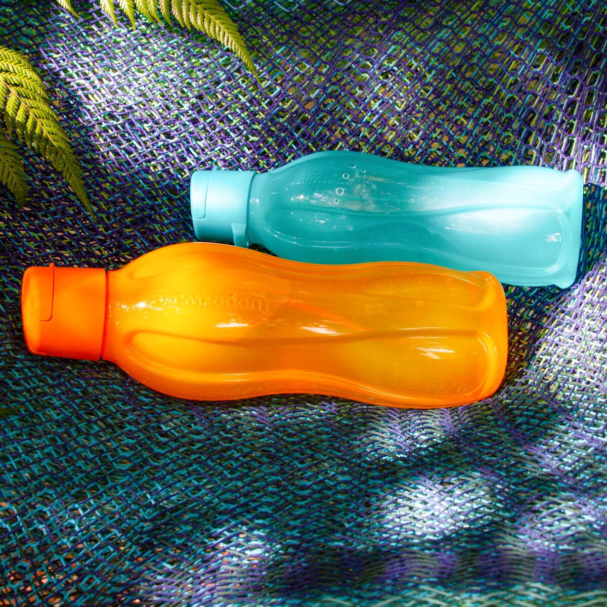 בקבוק אקו+ 500 מ״ל עם פיה