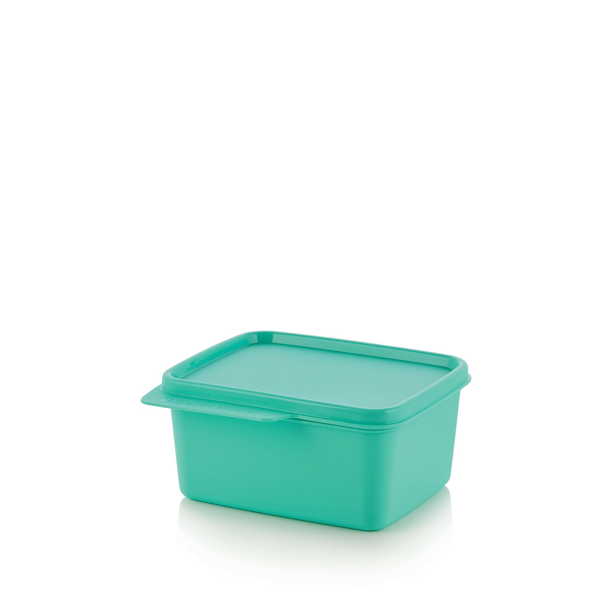 בייסיק ליין לאחסון כללי 500 מ״ל