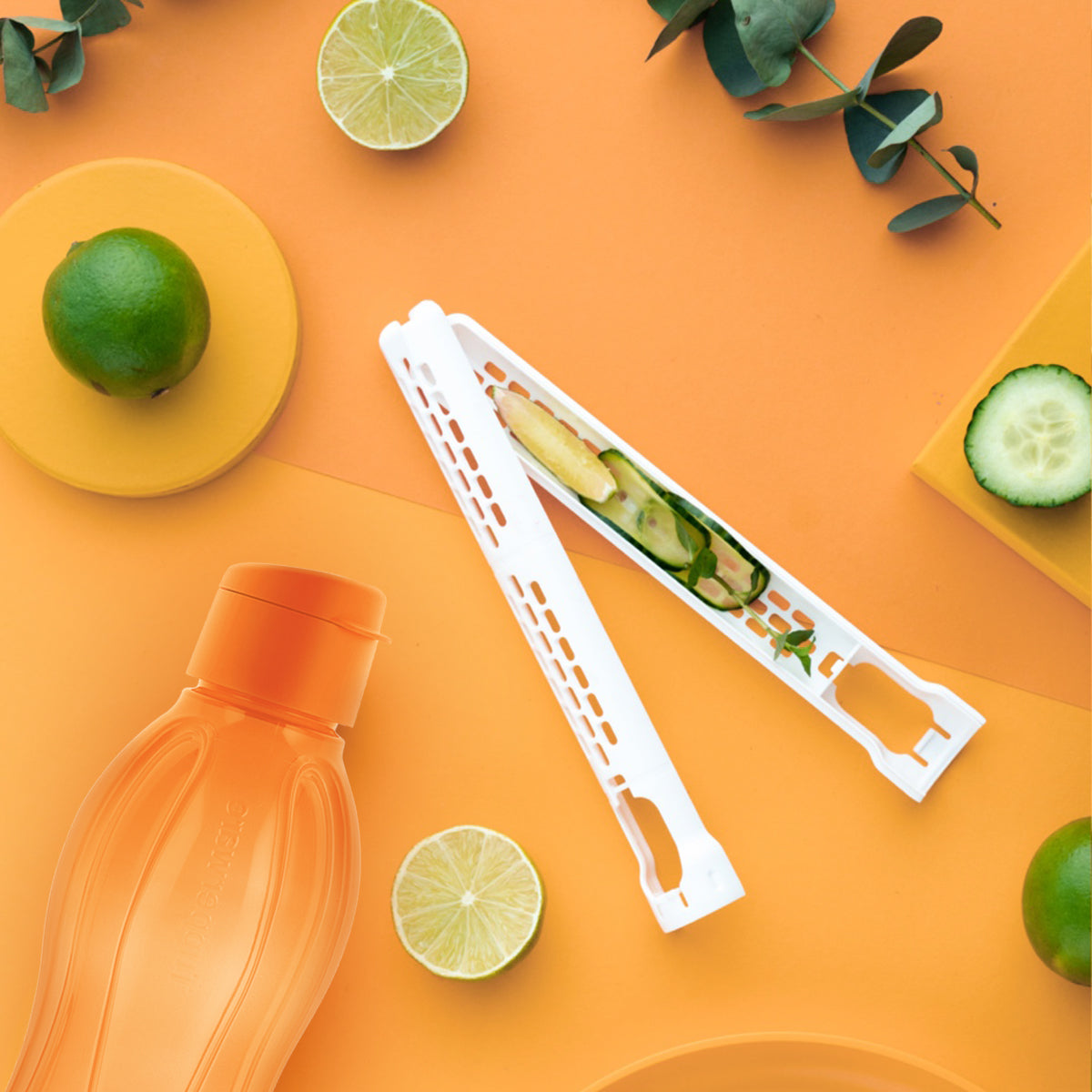 פילטר לפירות