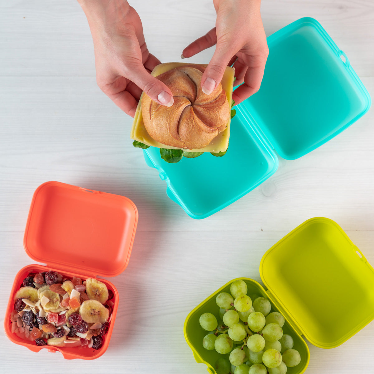 קופסת אוכל קטנה אקו+ (6806990553283)