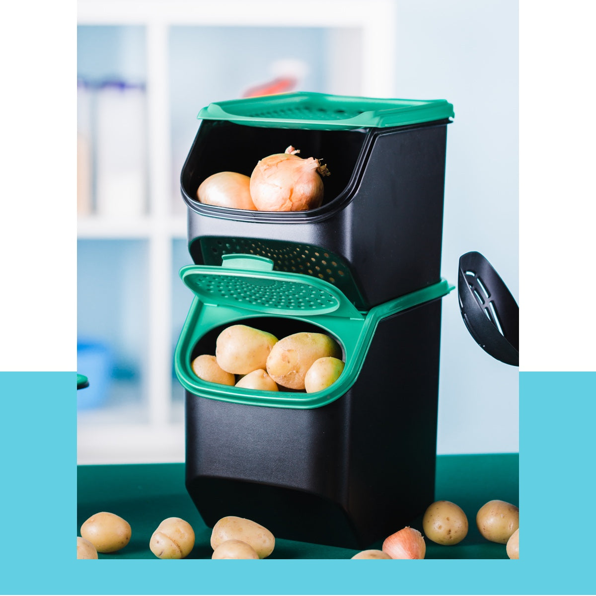 מכל לשום ובצל (6075138539715)