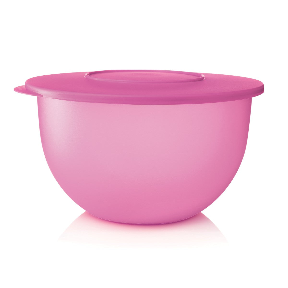 קערת אקספרס 4.3 ליטר