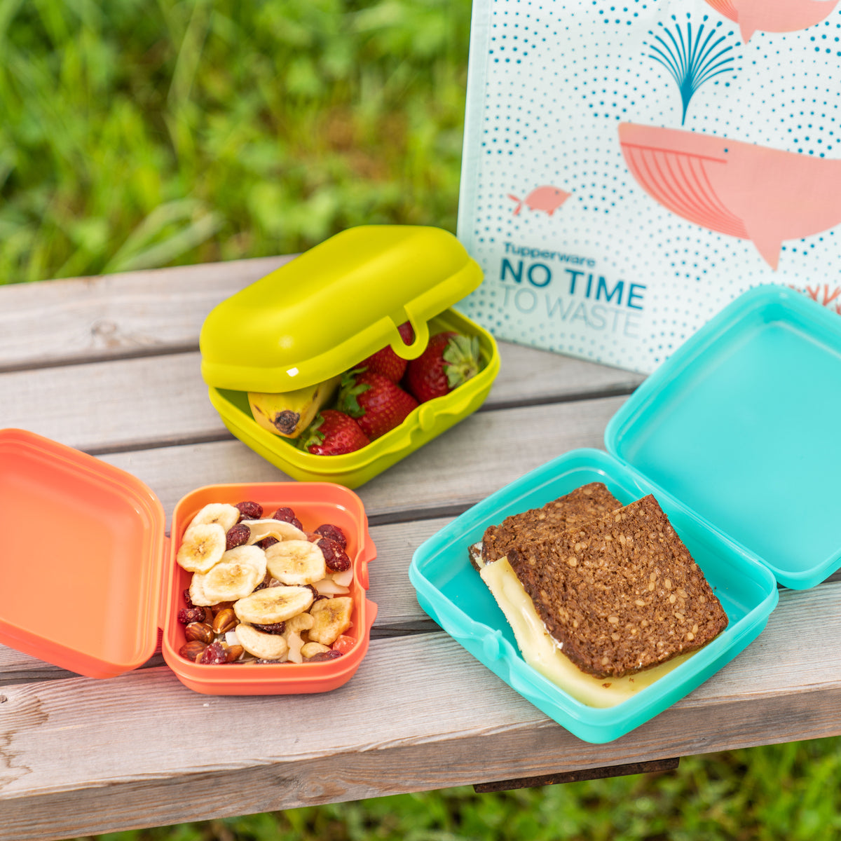 קופסת אוכל גדולה אקו+ (6806990586051)