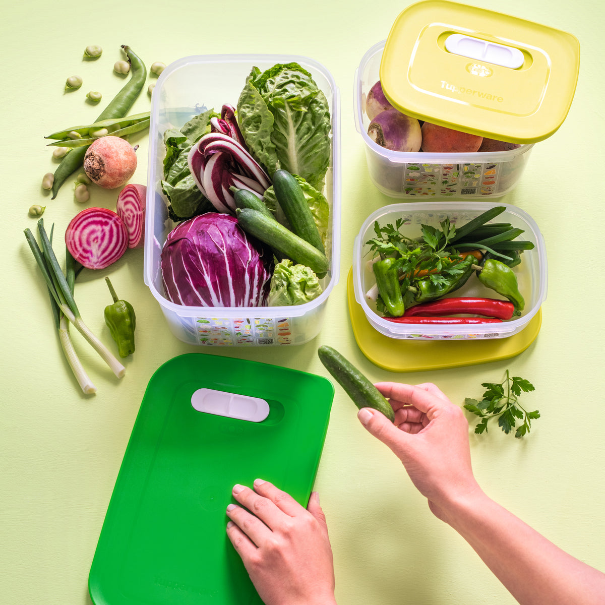 וונטסמארט קטן נמוך 800 מ״ל (6692983308483)