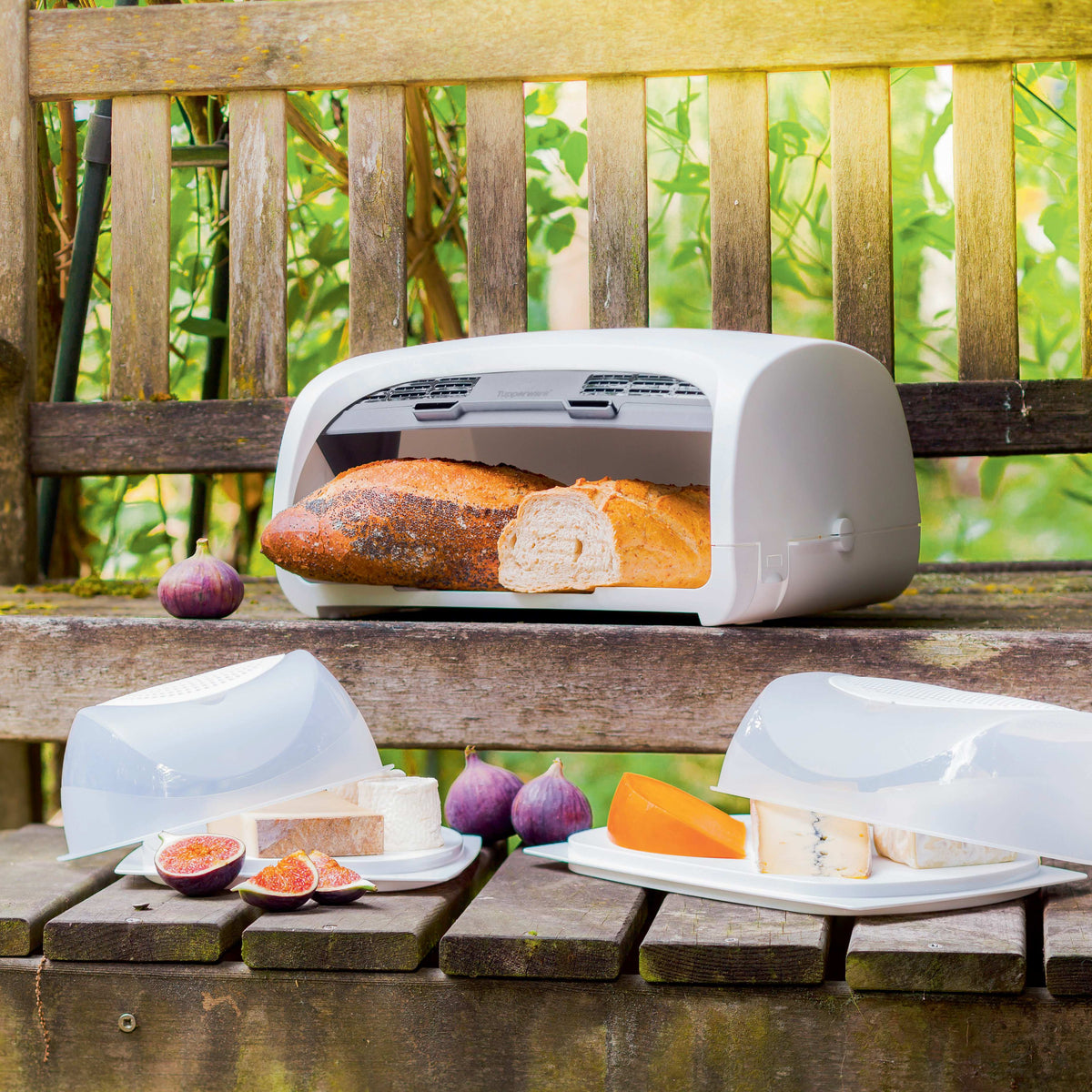 ברד סמארט קופסת לחם (6084347330755)