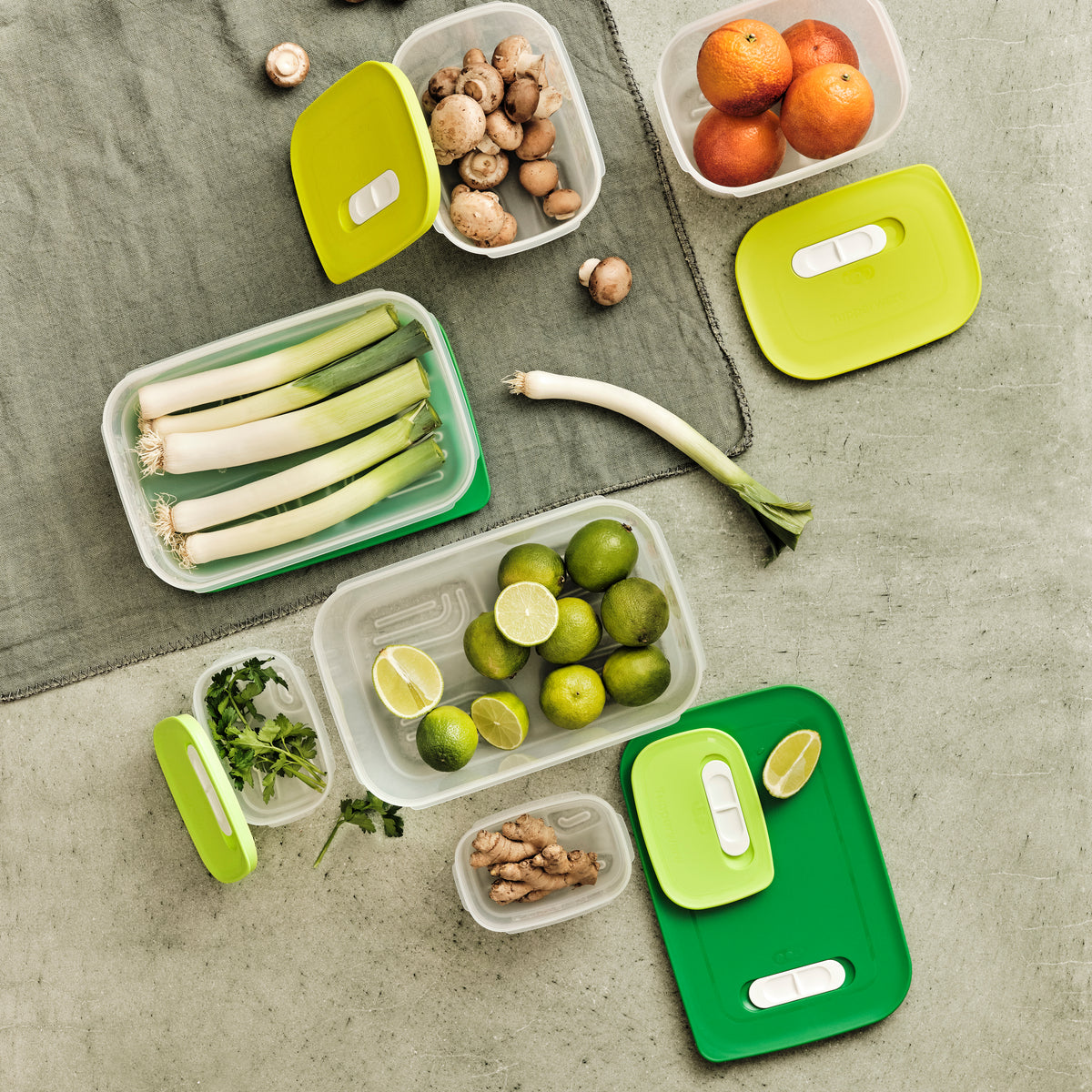 וונטסמארט קטן נמוך 800 מ״ל (6692983308483)