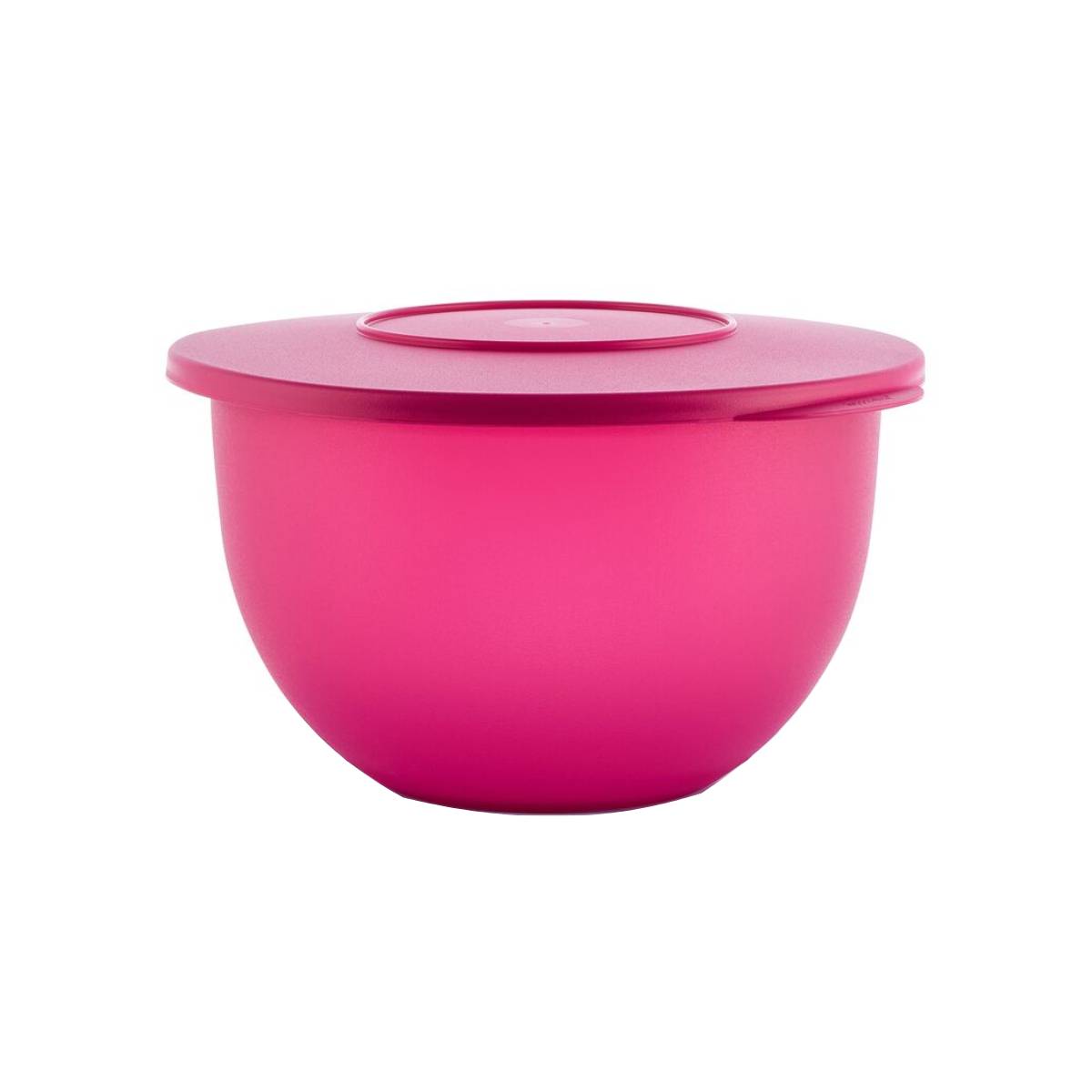 קערת אקספרס 2.5 ליטר