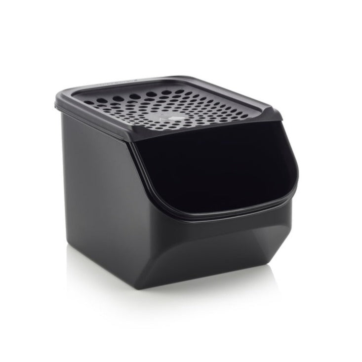 מכל לשום ובצל