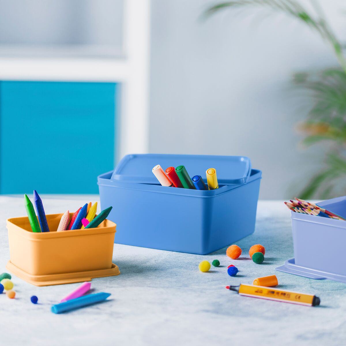 בייסיק ליין לאחסון כללי 500 מ״ל