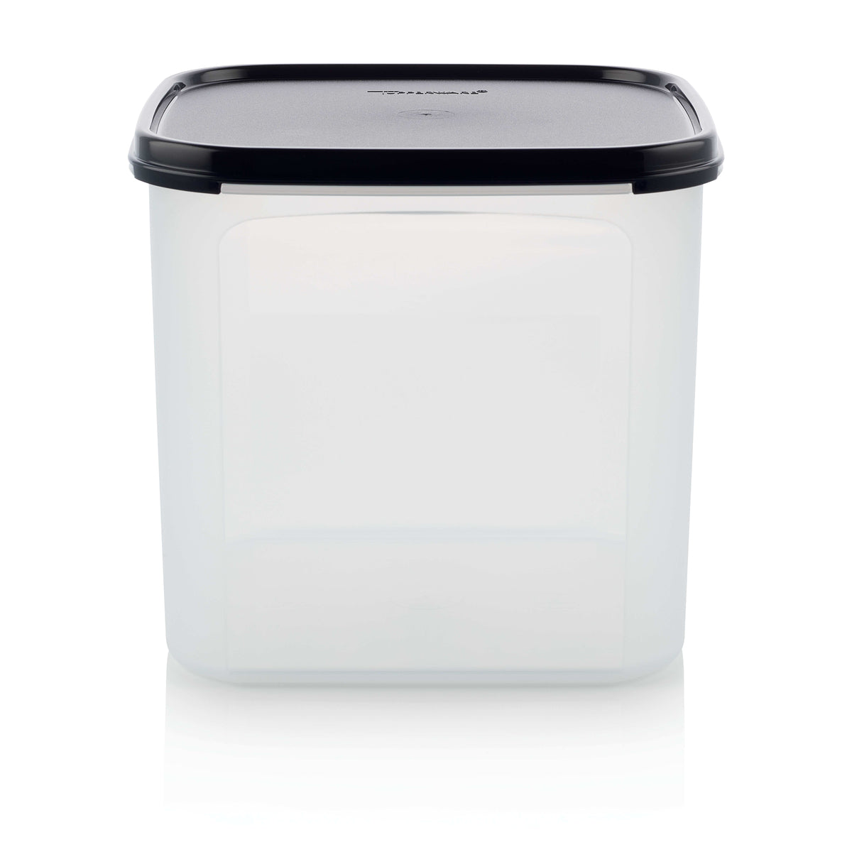 אחסון חכם מרובע 4 ליטר (6654447255747)