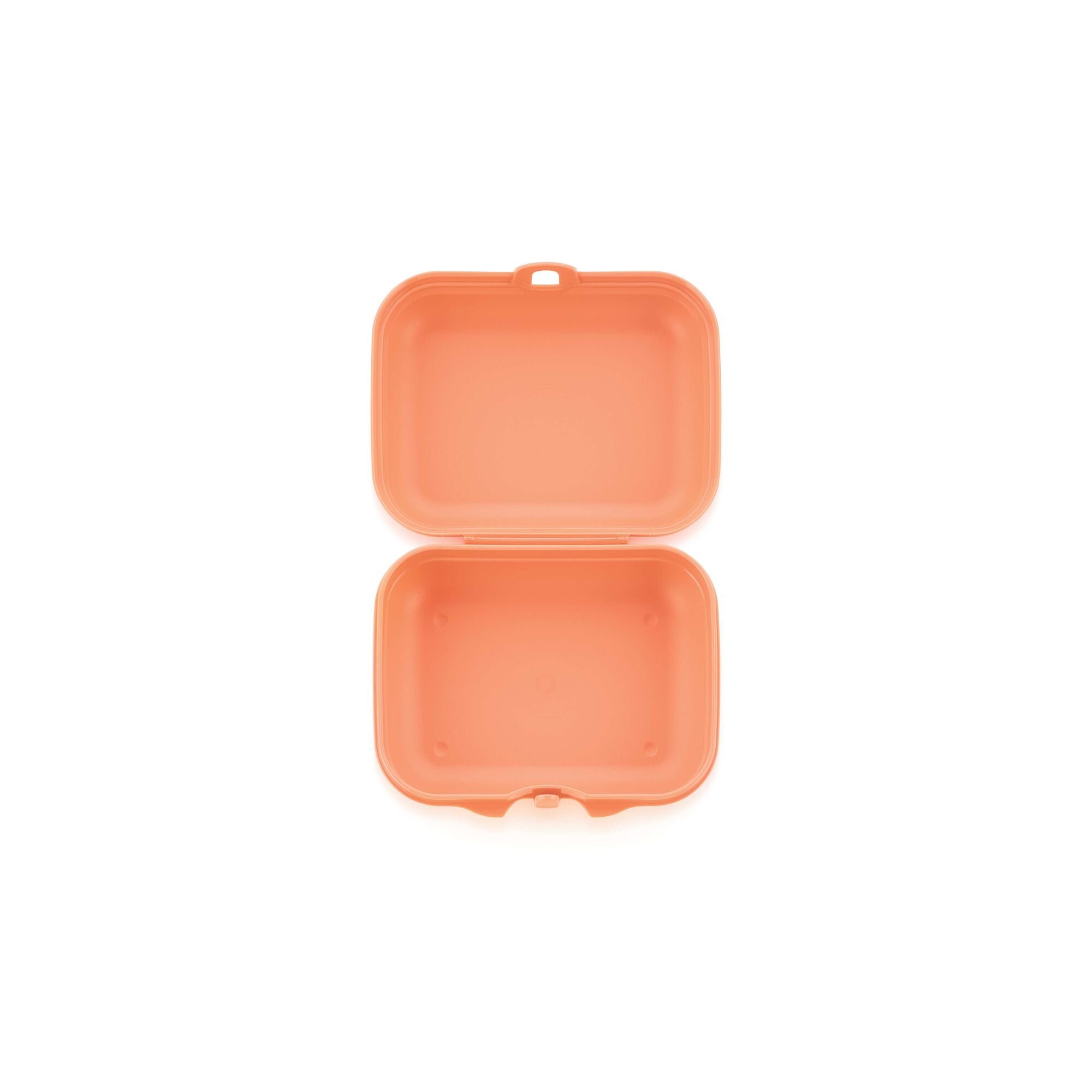 קופסת אויסטר קטנה אקו+