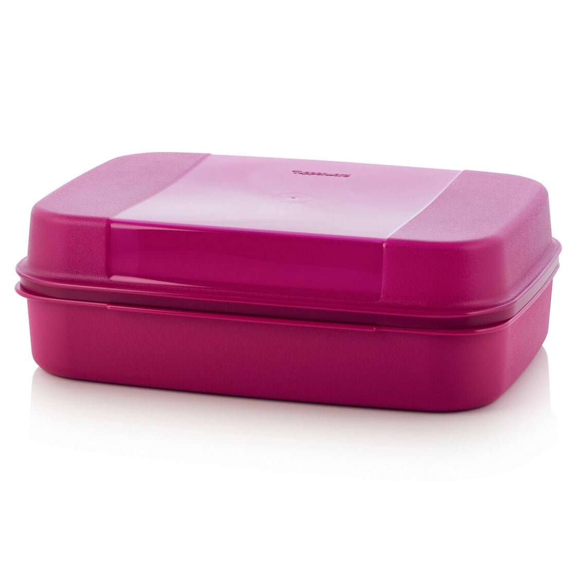 שומר חטיפים 2 ליטר