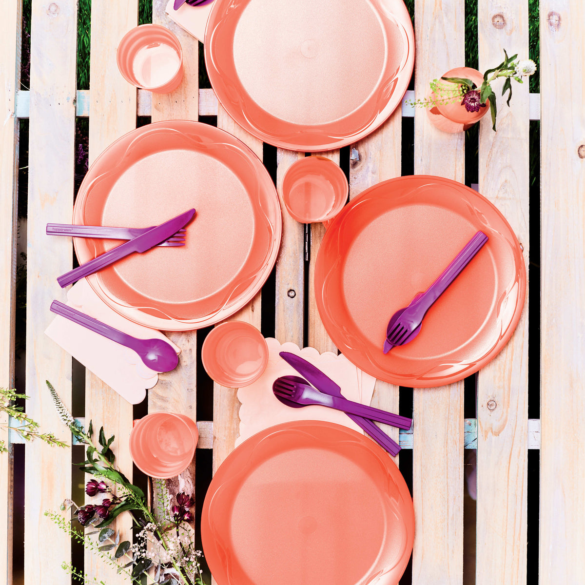 צלחות פיקניק סט (4) (6664822390979)