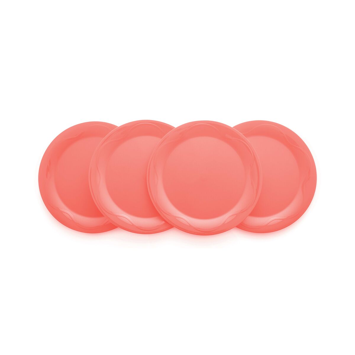 צלחות פיקניק סט (4)