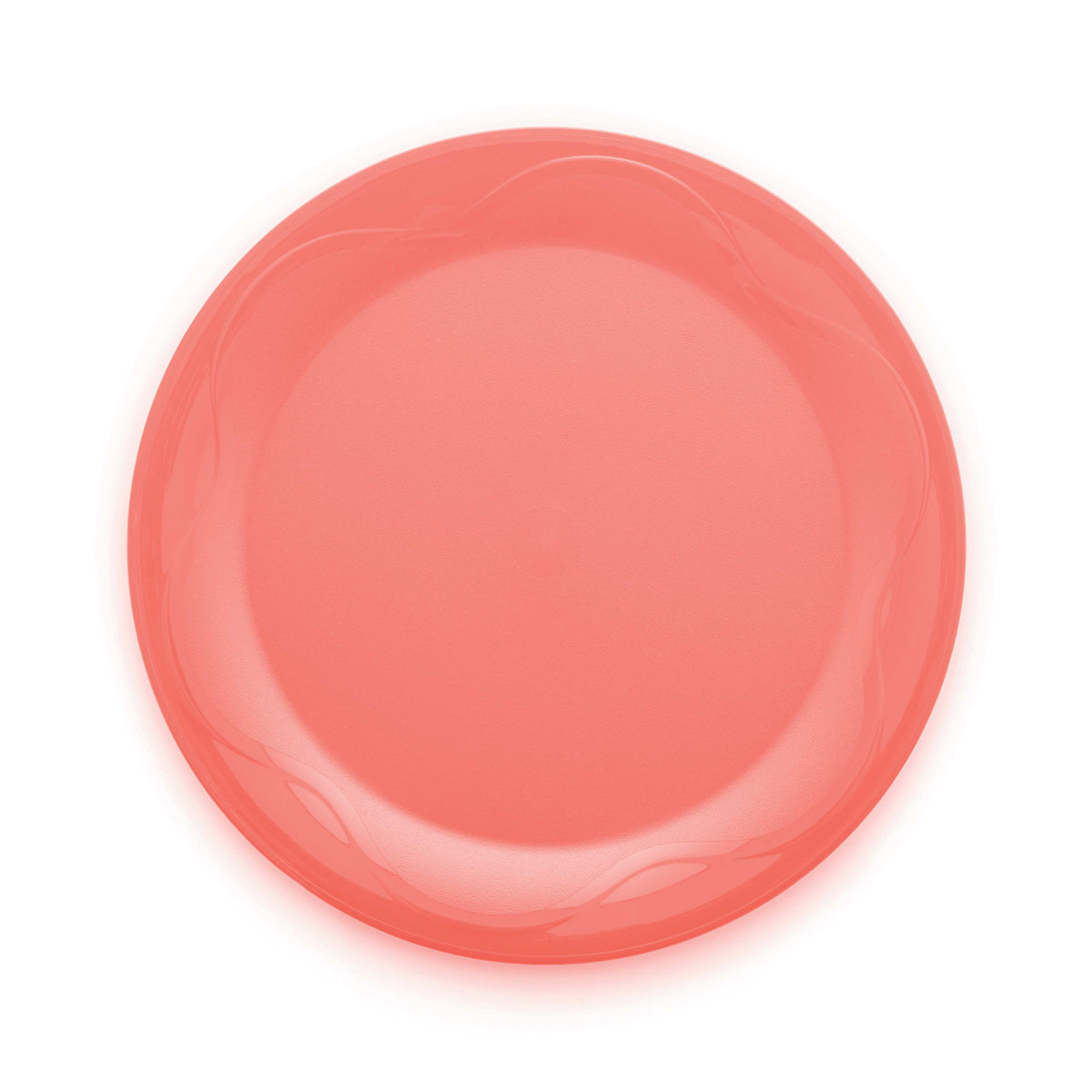 צלחות פיקניק סט (4) (6664822390979)