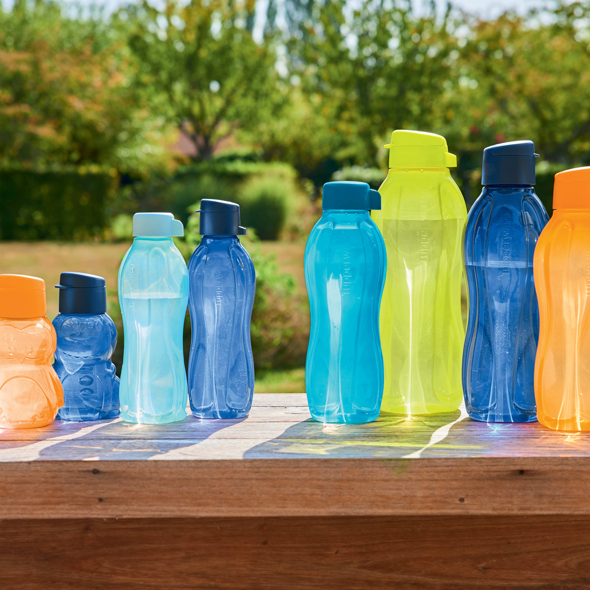 בקבוק אקולוגי לילדים דינוזאור