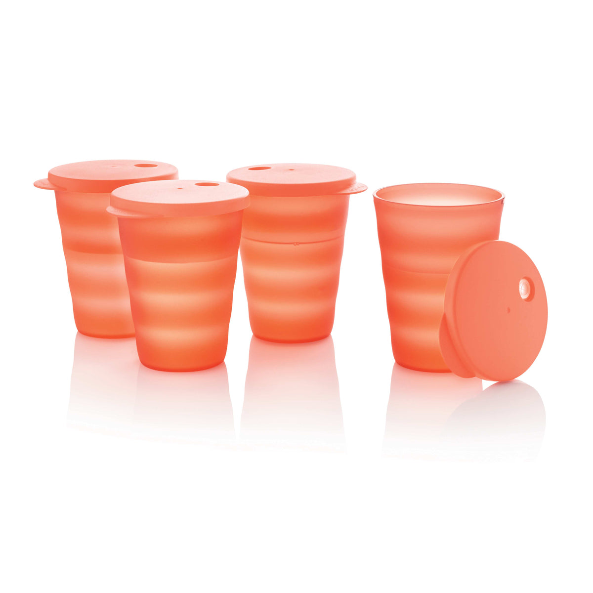 כוסות עם מכסה סט (2) (6664822325443)