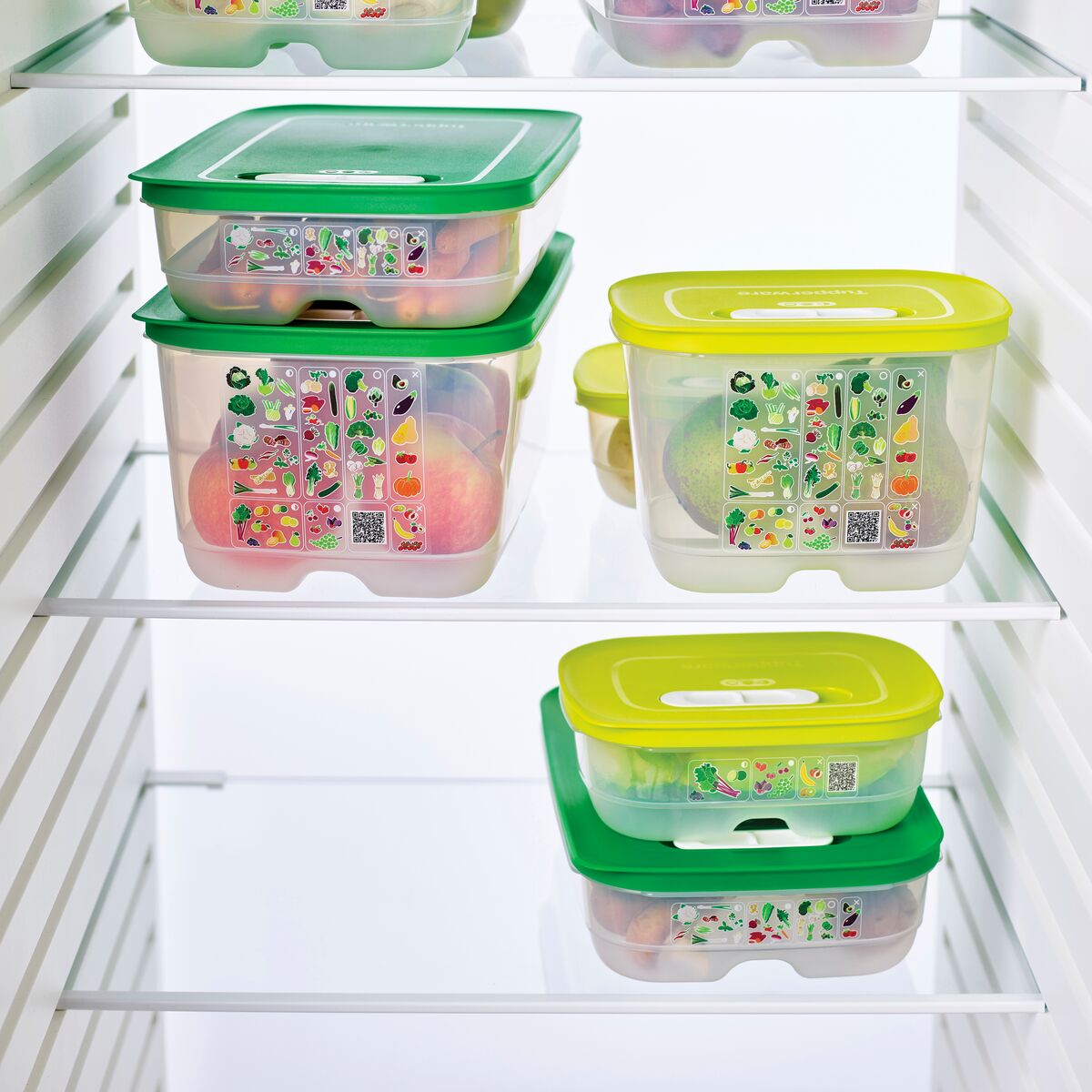 וונטסמארט בינוני נמוך 1.8 ליטר