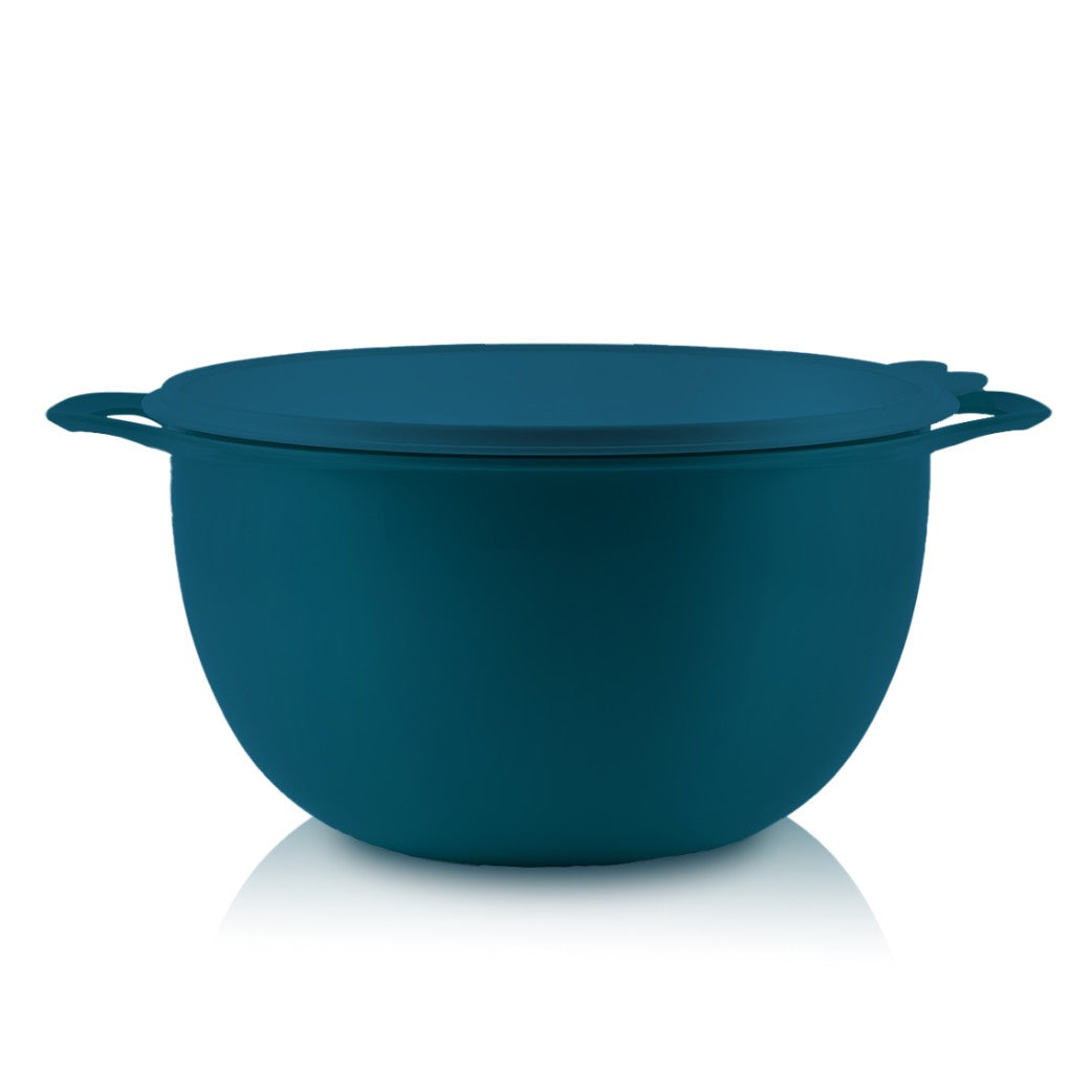 זוהי קערה מגה 10 ליטר